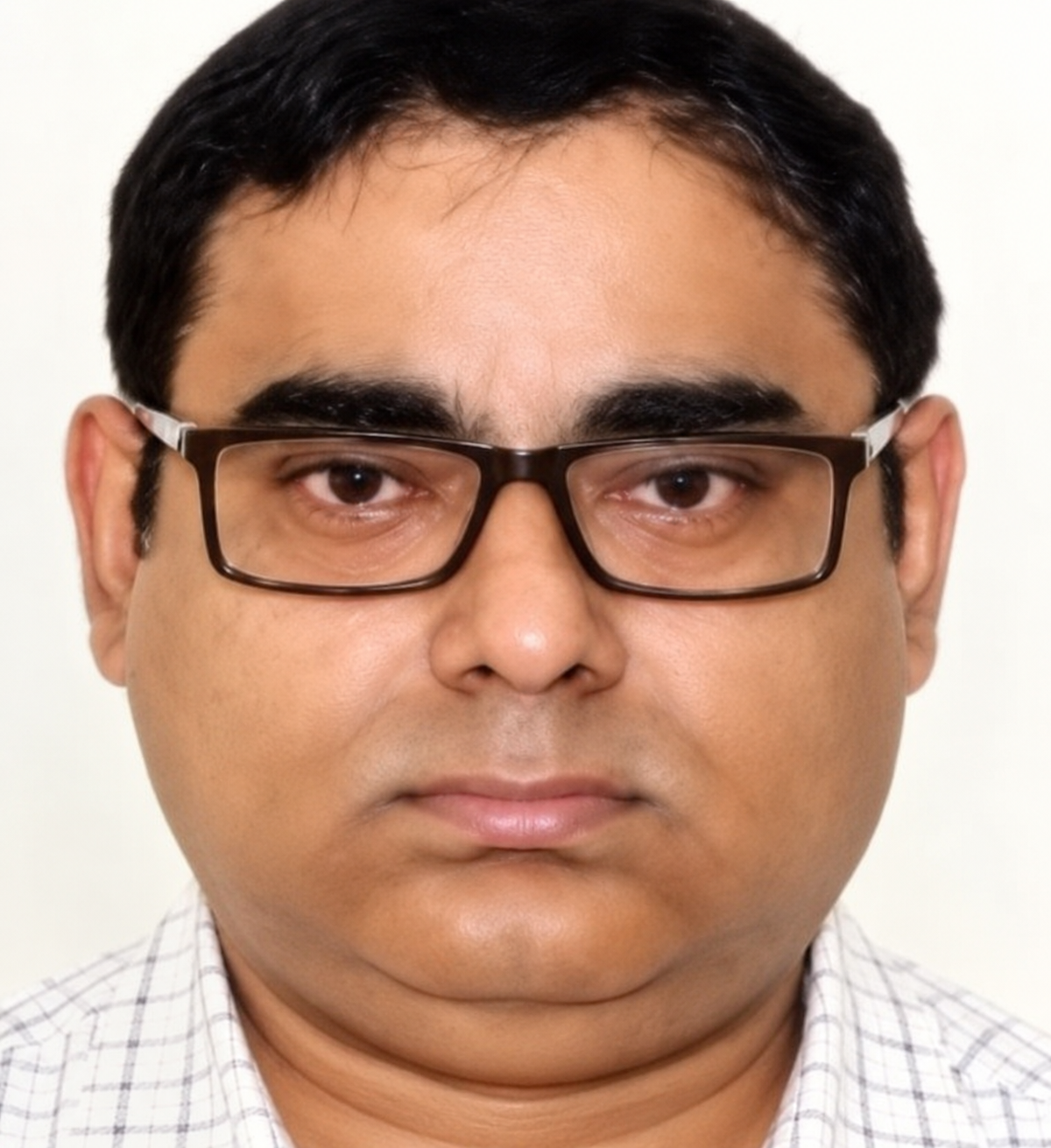 About Portrait of Suijoy Dutta